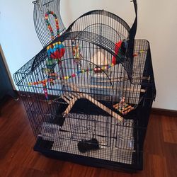 Bird Cage With Toys 