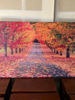 Very nice natural portrait!