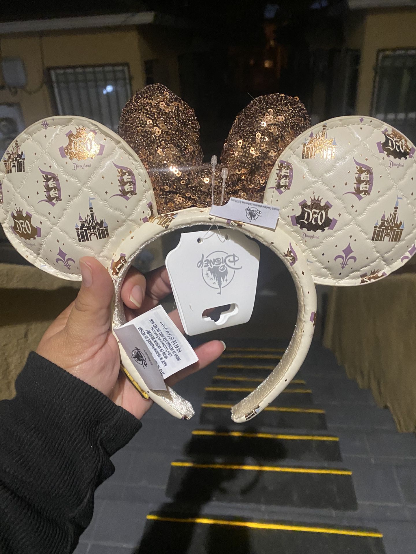 Disney Ears 70th Anniversary