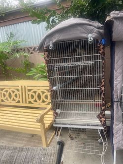 Bird cage