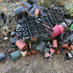 Pots For Planting Free