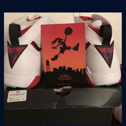 Brand New! Air Jordan Retro 7 Hares