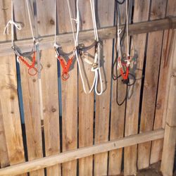 Se Vende Bosales Para Caballos 