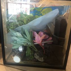 Fish Tank And Supplies