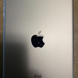 iPad Mini2 