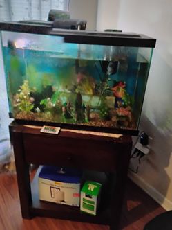 Pecera de 20 galones con dos filtros y dos pompas de oxígeno y filtros nuevos adornos y como 5 peces $30 por todo