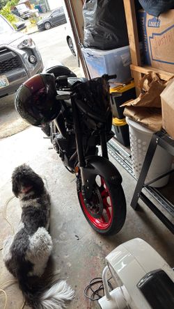 2020 Yamaha MT-03