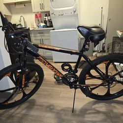 Adult Mongoose Bicycle