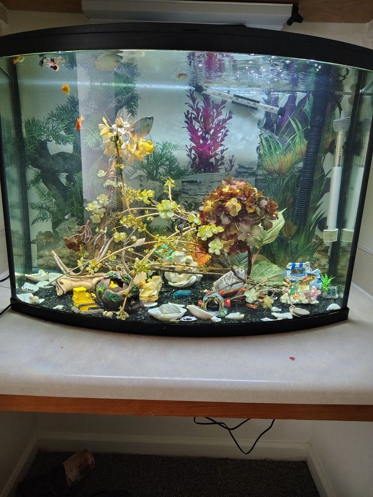 30 Gallon Fish Tank. Fish Included