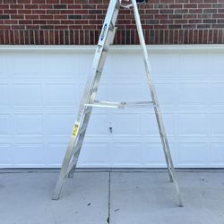 10 Ft Step Ladder 