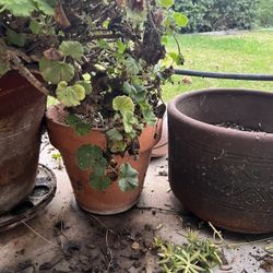 Planter Big Pot Vase With Soil