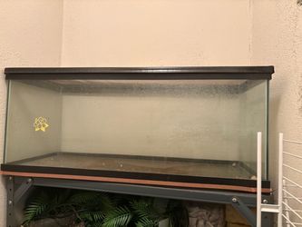 Large Glass Aquarium with Mesh Lid – 30” × 13” × 14”