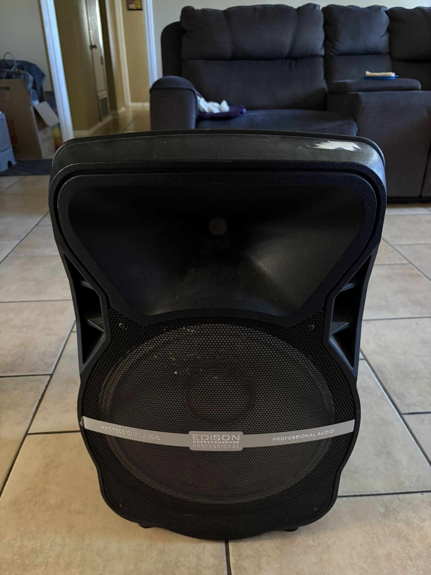 Edison Pro ST-1000MKII BT Speaker