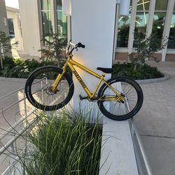 2022 Gold BEASTMODE Se Bike
