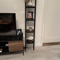 Ladder Shelf 