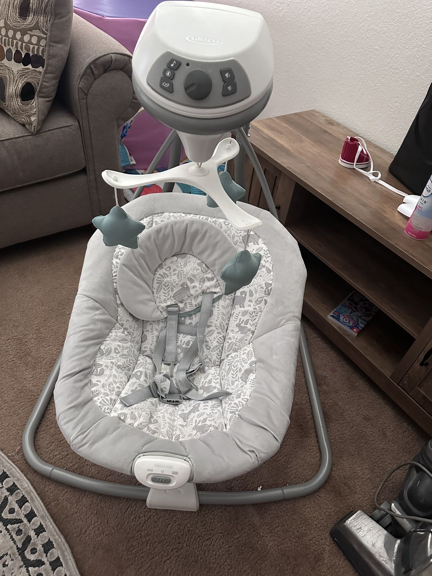 Baby Swing Graco