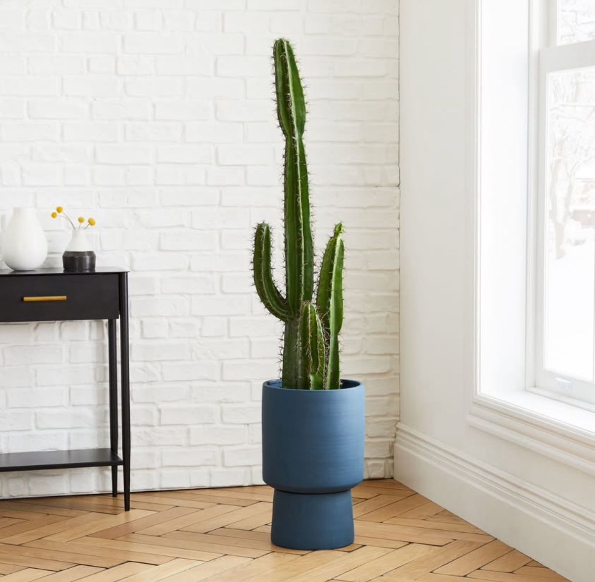 West Elm - Faux Potted Cactus Plant & Medium Bishop Planter Bundle
