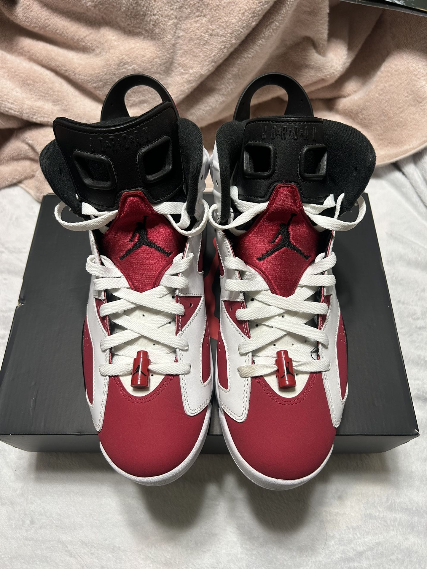 Air Jordan 6 Carmine 