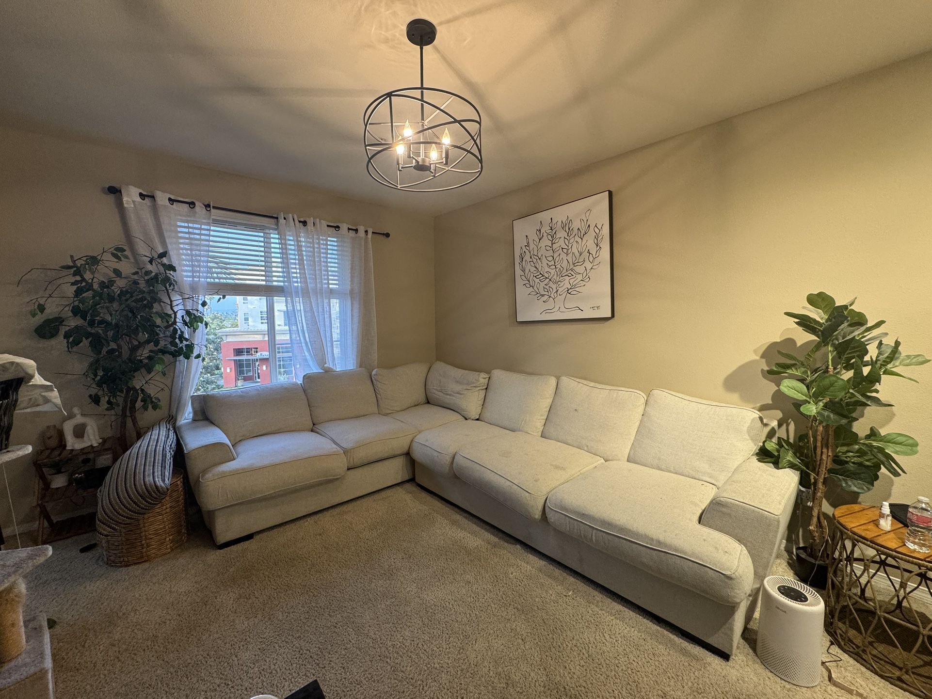 Sectional Couch