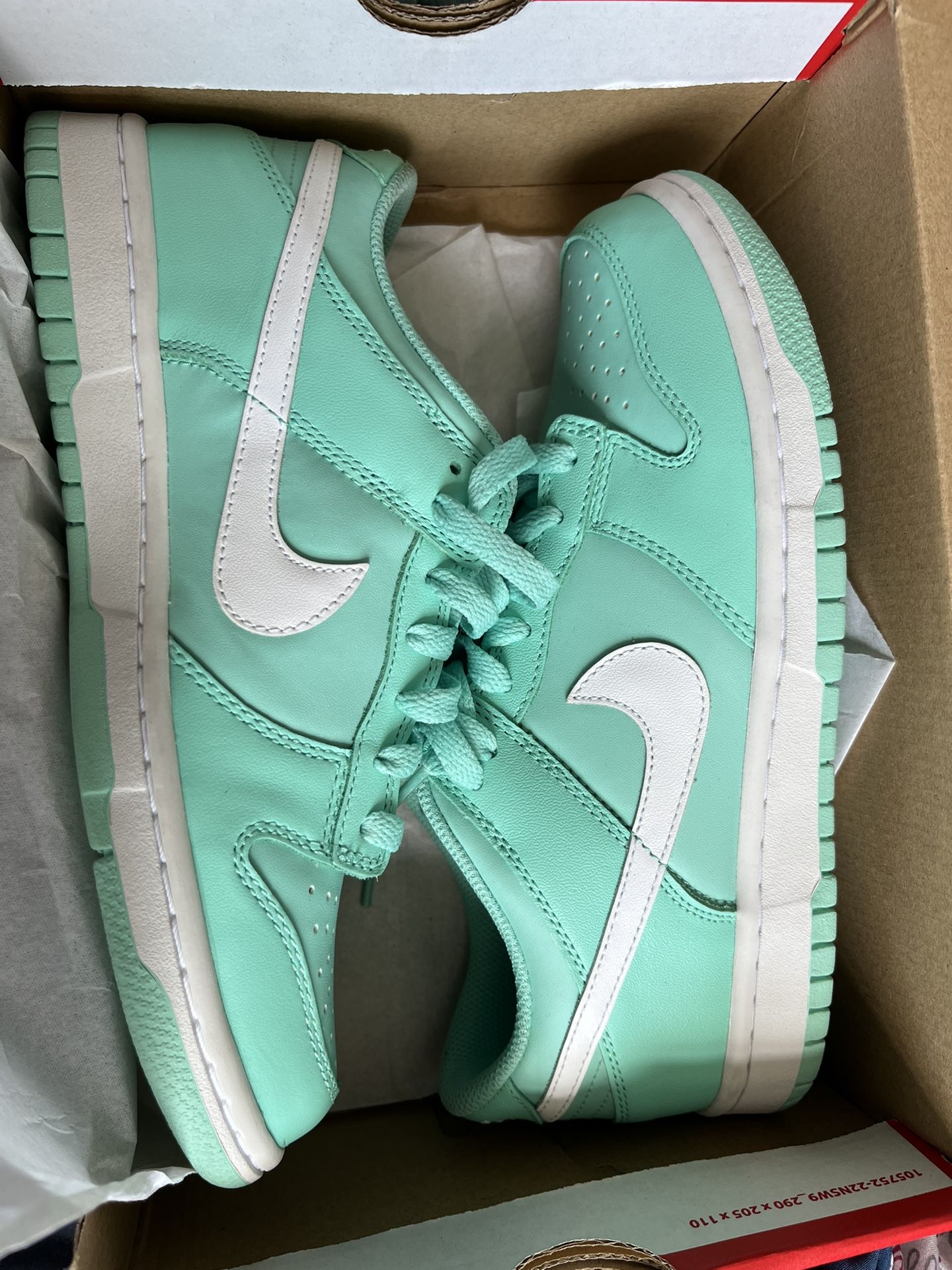 Nike Dunk Lows
