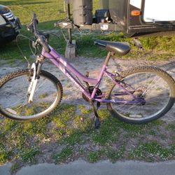 Girl's Bike