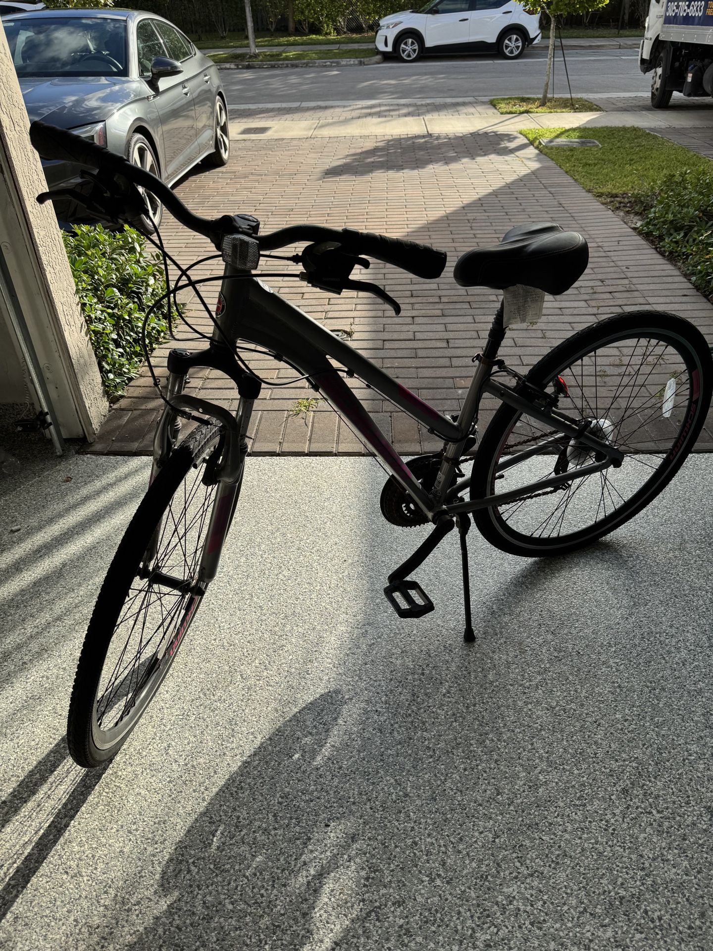Adult Schwinn bike