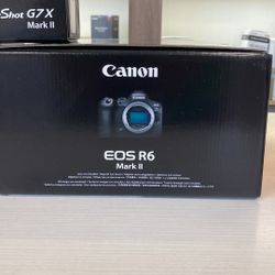 Canon EOS R6 Mark II (Downey, CA)