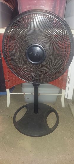 Fans
