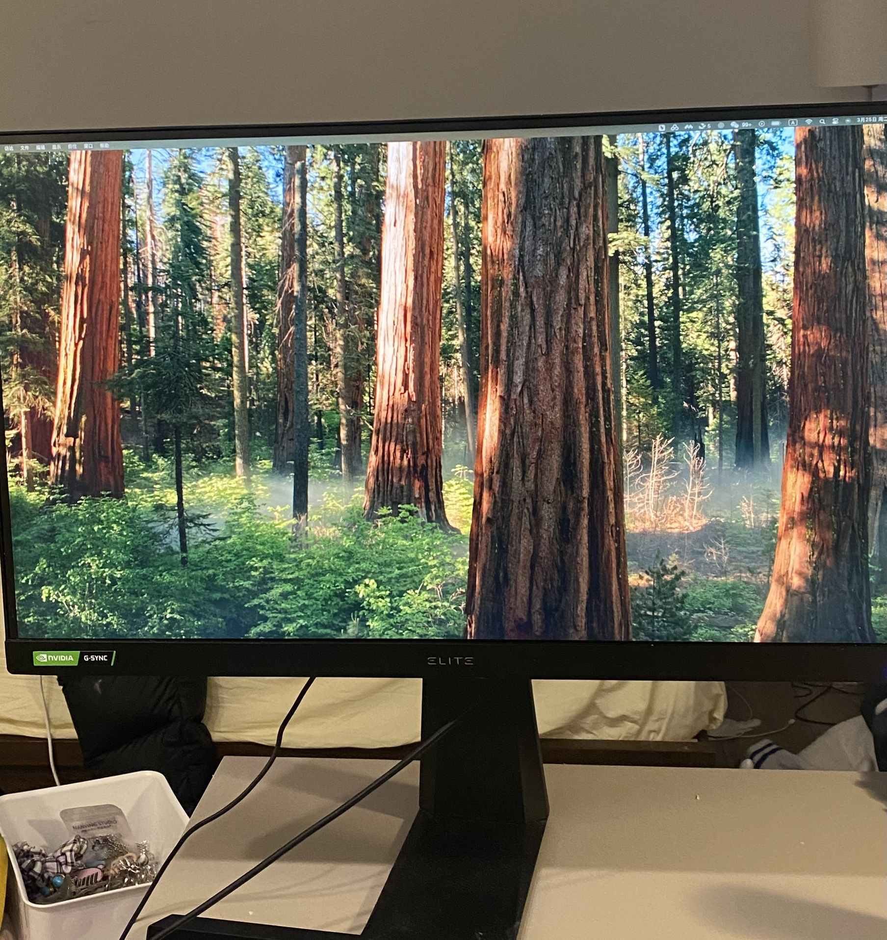 monitor