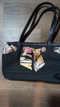 Cute Sonoma purse 