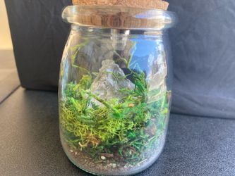 Crystal Gem Terrarium