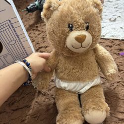 Build A Bear With The Box 