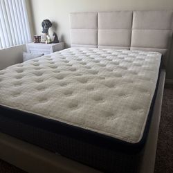 New Queen size bed frame, box and mattress