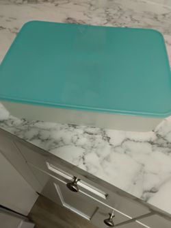 Tupperware large  container.