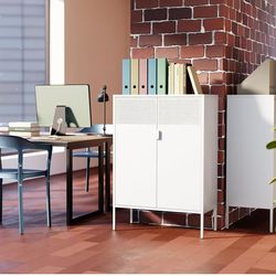 ❤️‍🔥 2 Mesh Door Metal Storage Cabinet for Office