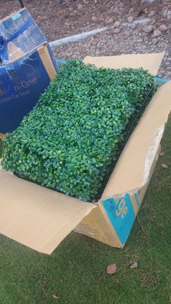 Artificial boxwood hedge