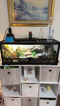 20 gallon reptile tank