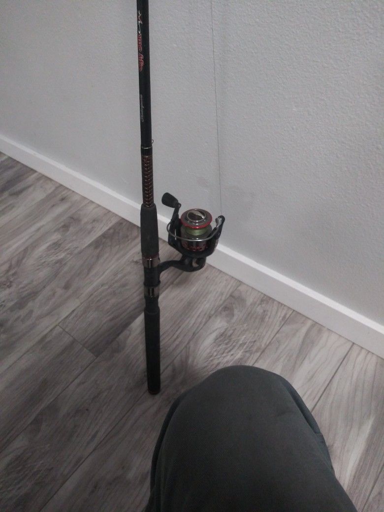 ONE piece Fishing Pole