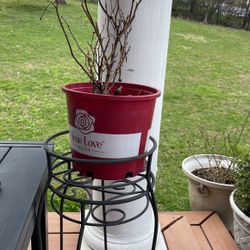 Black Flower Pot Holder