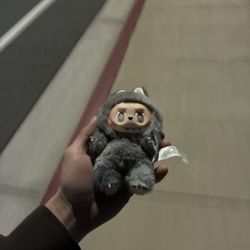 Secret ID Labubu Doll