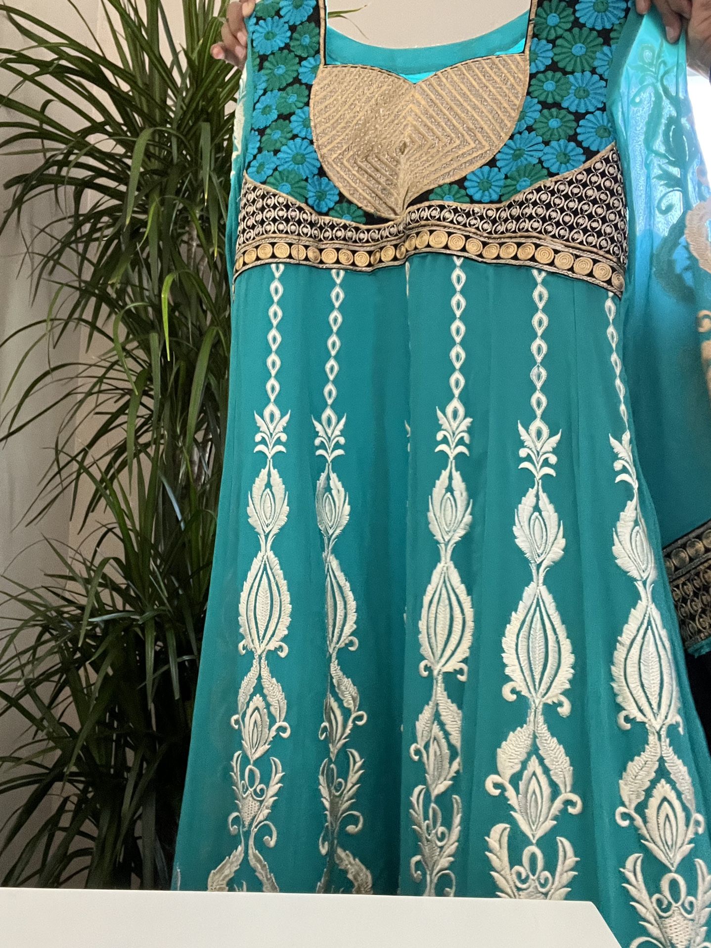 Beautiful Dress, Pants, and Scarf