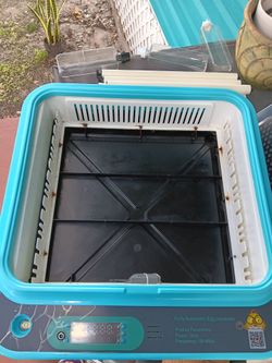 Fully automatic egg incubator