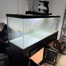 125 Gallons Fish Tank