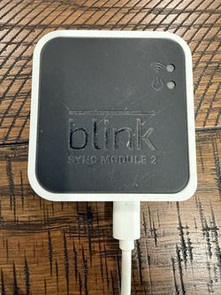 Blink sync module 2