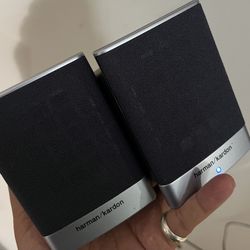 Laptop Speakers 
