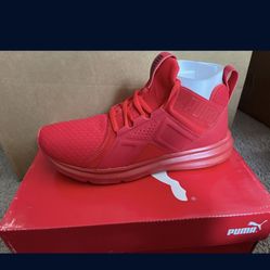 Pumas New
