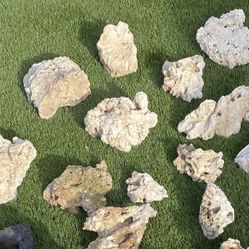 Live Rock For Fish Tanks.