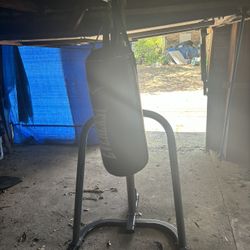 Everlast Punching Bag Stand With Punching Bag And Gloves