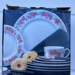 Christopher Stuart Berry Orchard Pattern Dinnerware 20 Pc. For Four. New