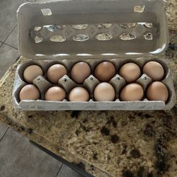 Eggs- Organic Pasture Raised